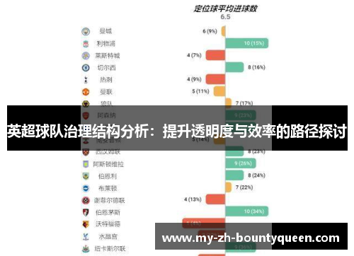 英超球队治理结构分析：提升透明度与效率的路径探讨